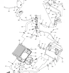 RADIATOR and HOSE