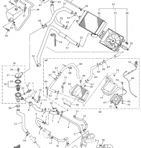 RADIATOR HOSE